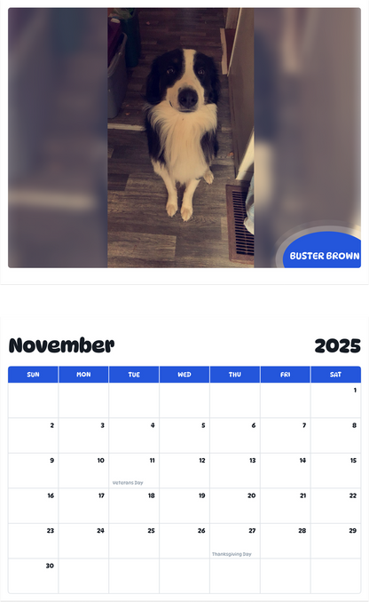 July 2025 - June 2026 Buster Brown - Pawidols Pet Calendar