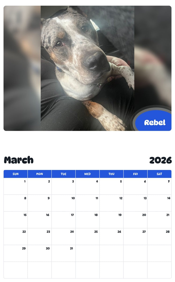 November 2025 - October 2026 Rebel - Pawidols Pet Calendar