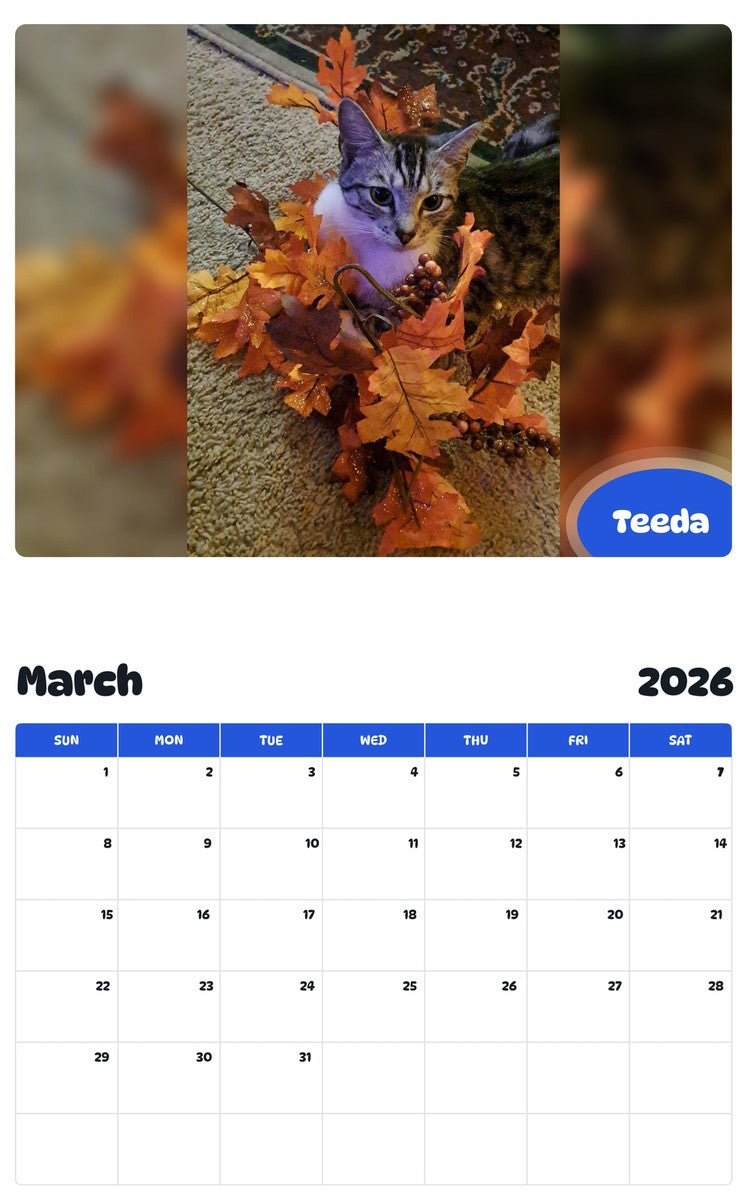 November 2025 - October 2026 Teeda - Pawidols Pet Calendar