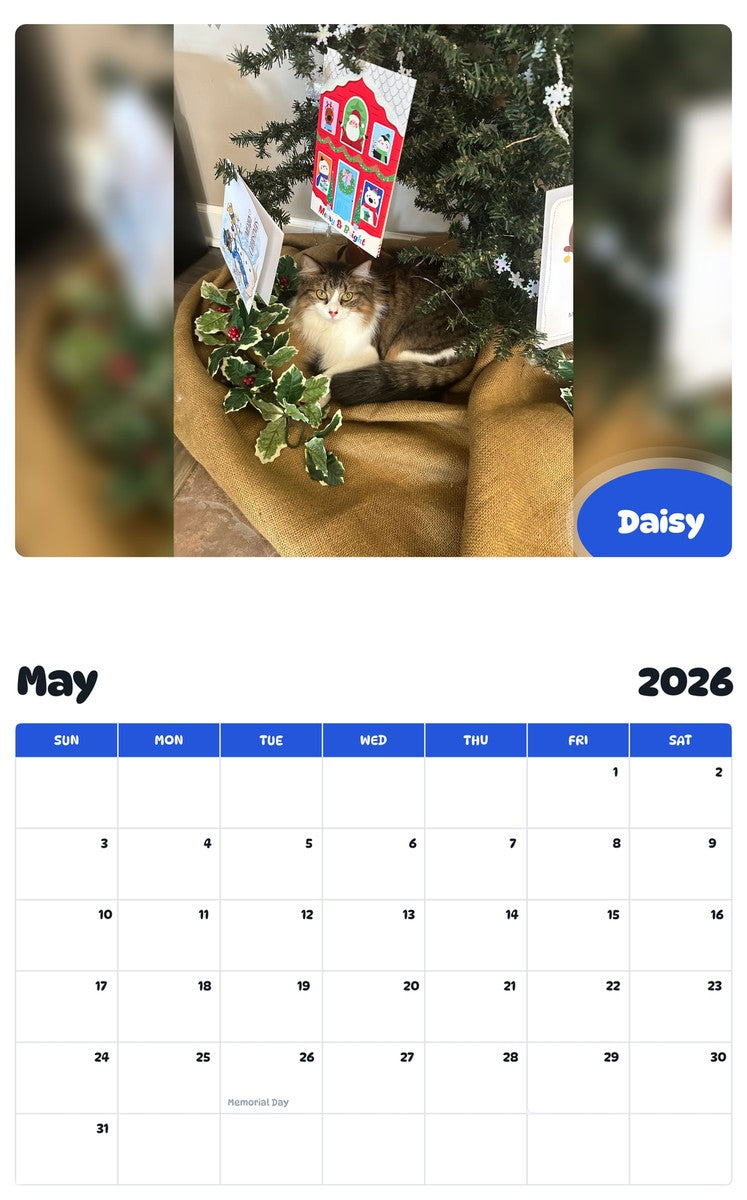 2026 - 2027 Daisy - Pawidols Pet Calendar