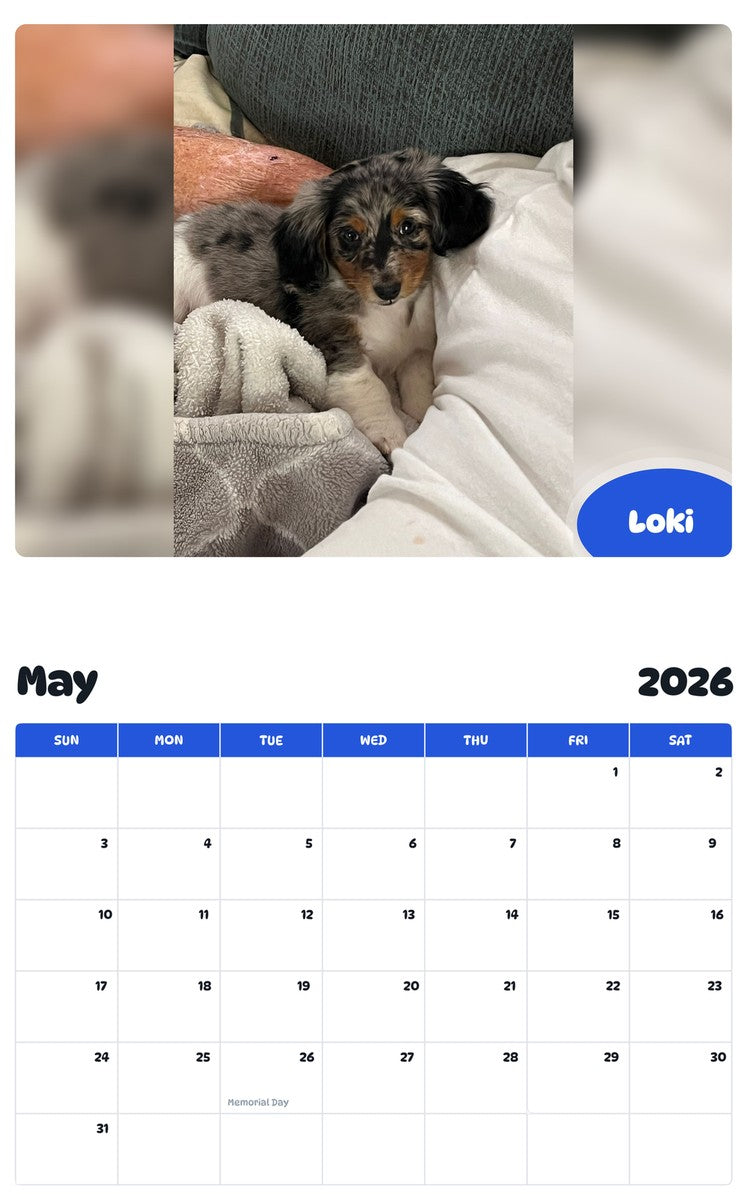 2026 - 2027 Loki - Pawidols Pet Calendar