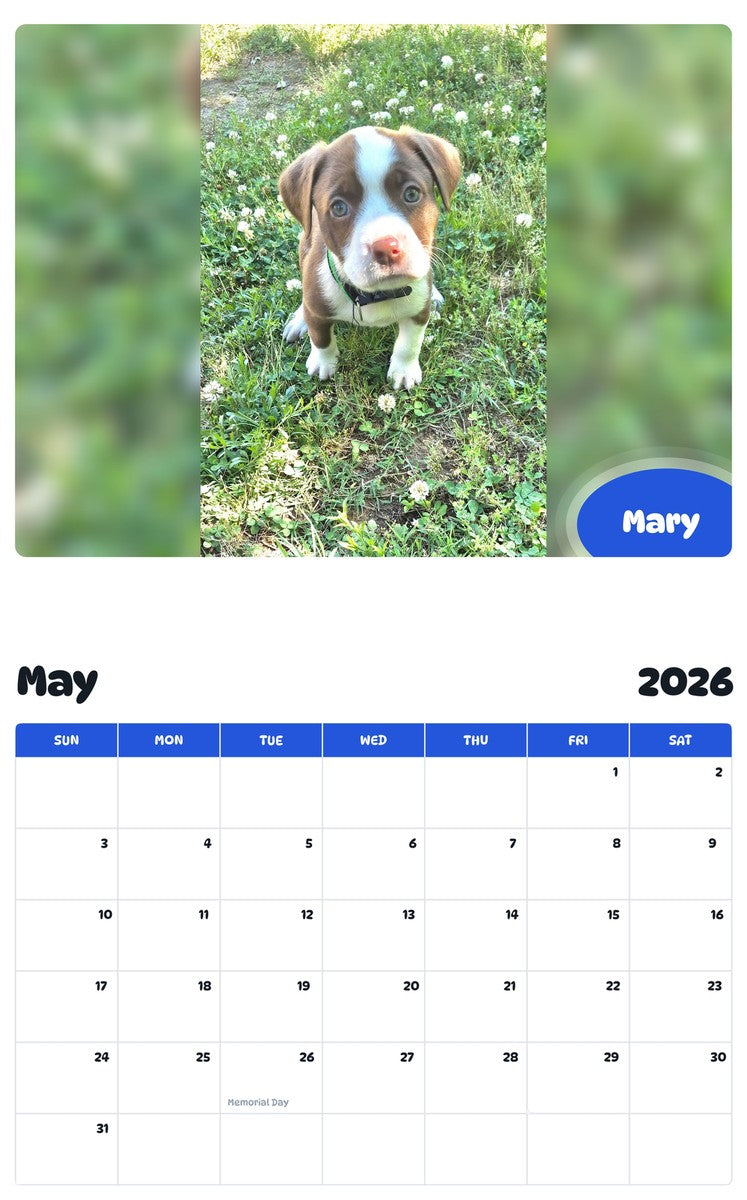2026 - 2027 Mary - Pawidols Pet Calendar