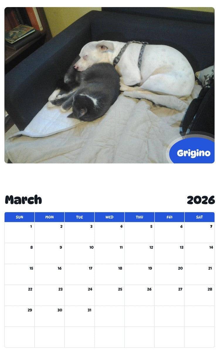 November 2025 - October 2026 Grigino - Pawidols Pet Calendar