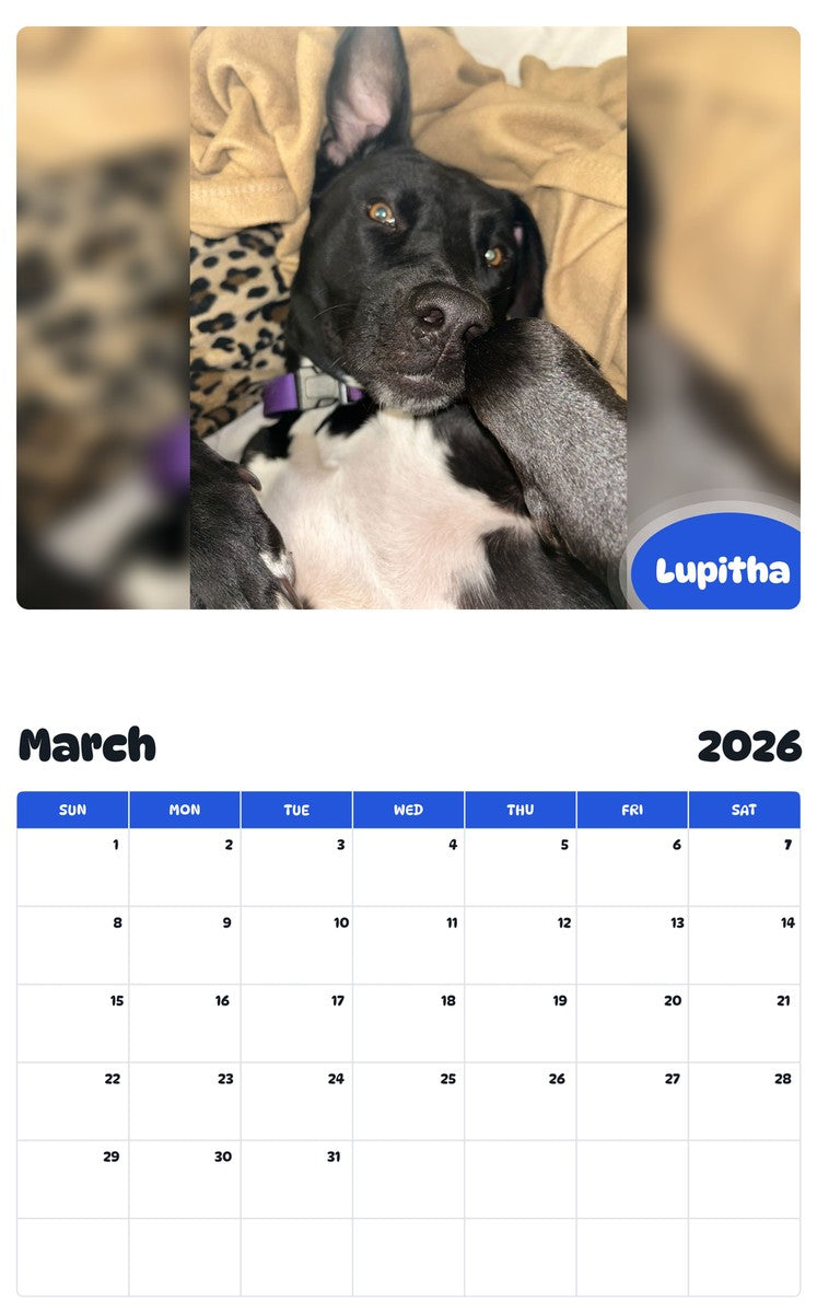 November 2025 - October 2026 Lupitha - Pawidols Pet Calendar