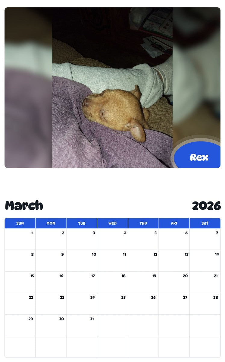 November 2025 - October 2026 Rex - Pawidols Pet Calendar