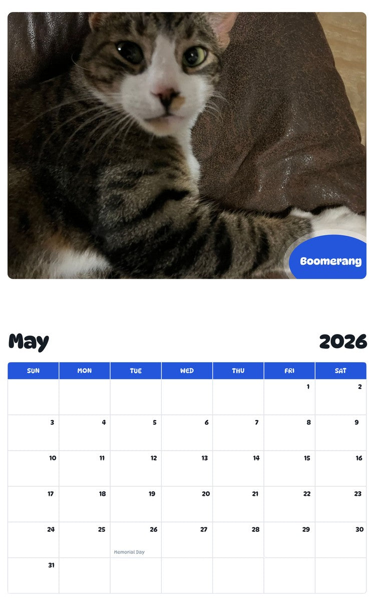 2026 - 2027 Boomerang - Pawidols Pet Calendar