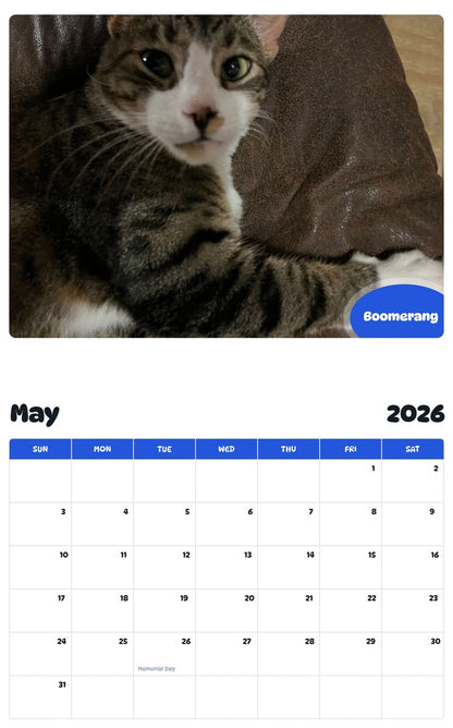 2026 - 2027 Boomerang - Pawidols Pet Calendar