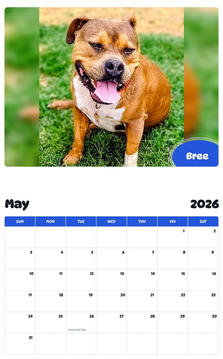 2026 - 2027 Bree - Pawidols Pet Calendar