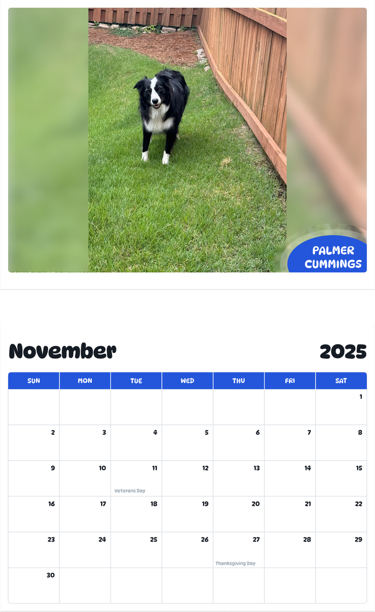 July 2025 - June 2026 Palmer Cummings - Pawidols Pet Calendar