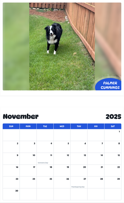 July 2025 - June 2026 Palmer Cummings - Pawidols Pet Calendar