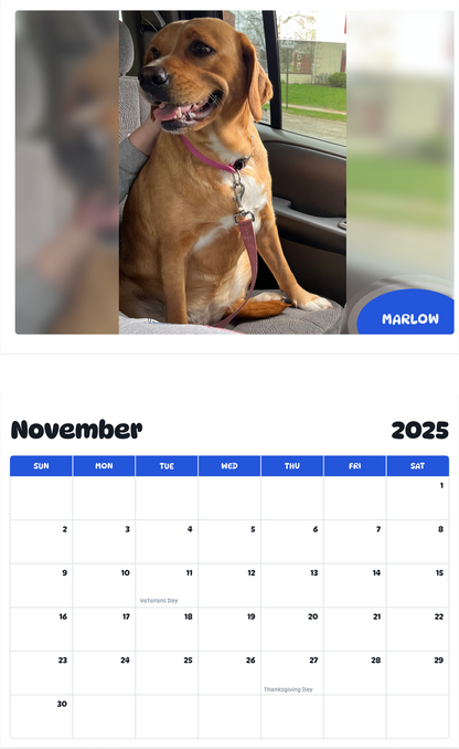 July 2025 - June 2026 Marlow - Pawidols Pet Calendar