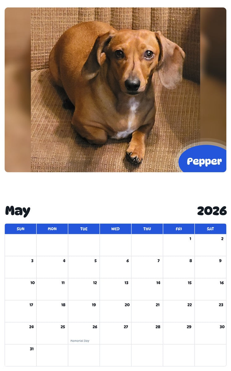 2026 - 2027 Pepper - Pawidols Pet Calendar