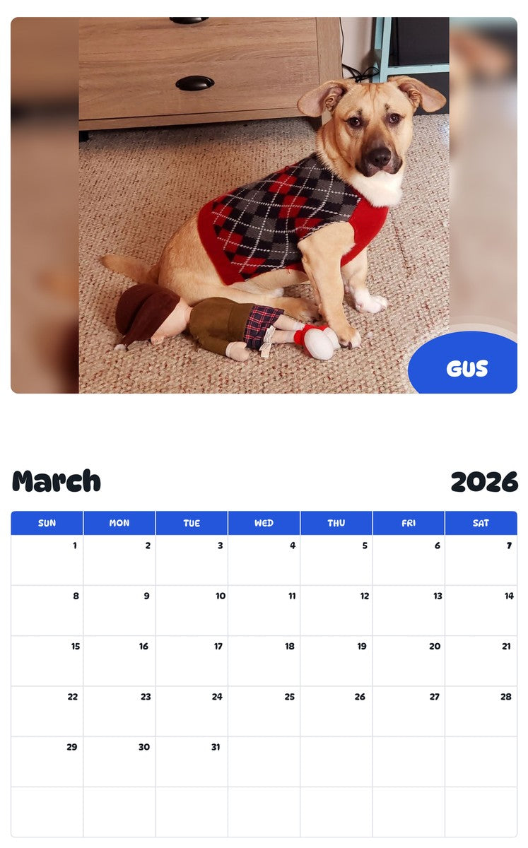 November 2025 - October 2026 GUS - Pawidols Pet Calendar