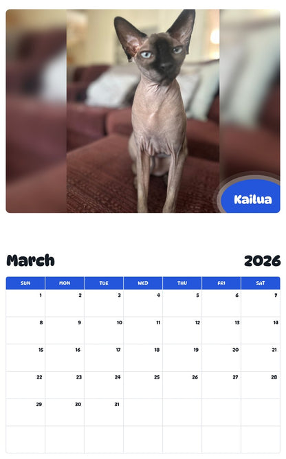 November 2025 - October 2026 Kailua - Pawidols Pet Calendar