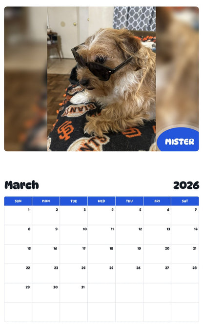 November 2025 - October 2026 MISTER - Pawidols Pet Calendar