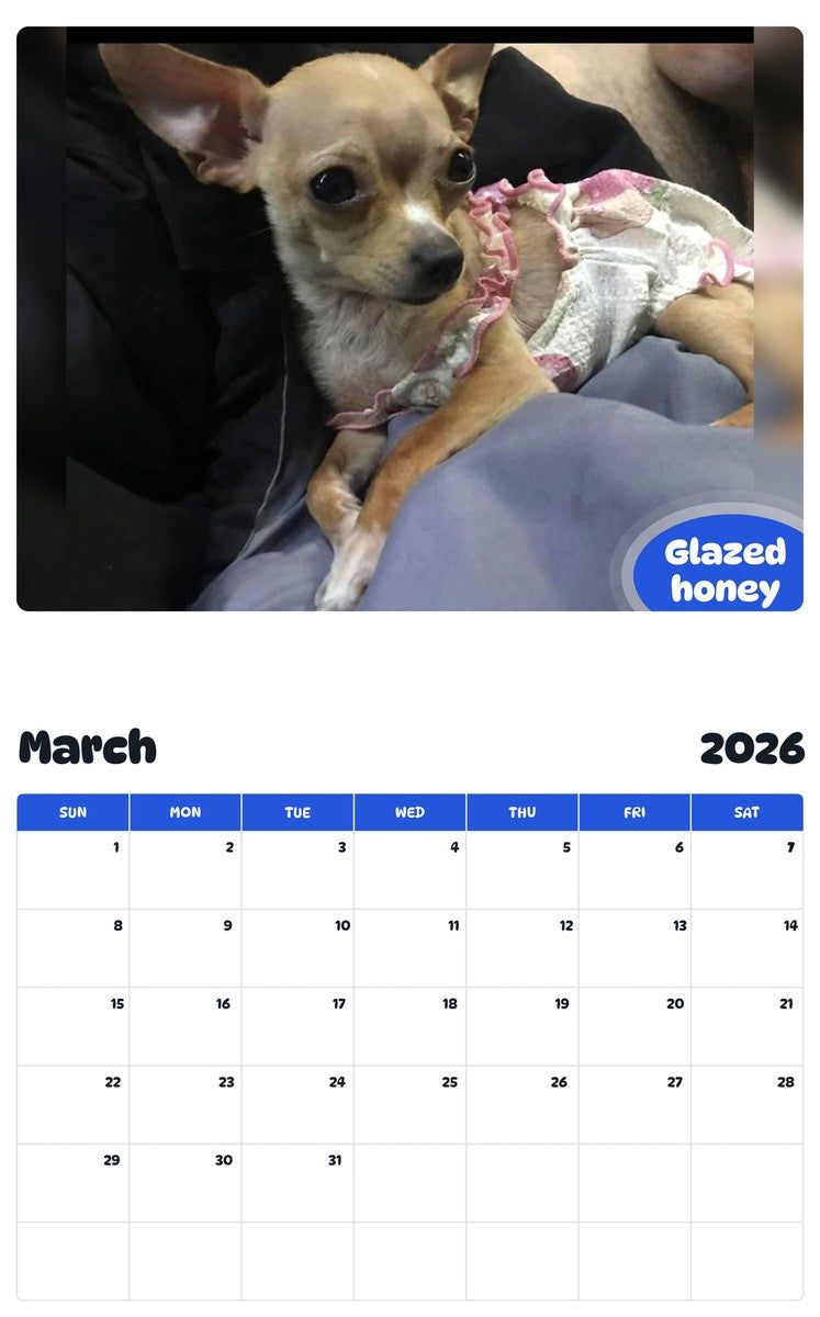 November 2025 - October 2026 Glazed honey - Pawidols Pet Calendar