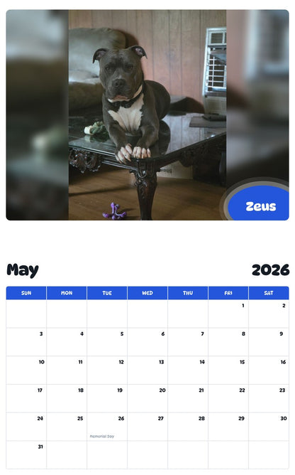 2026 - 2027 Zeus - Pawidols Pet Calendar