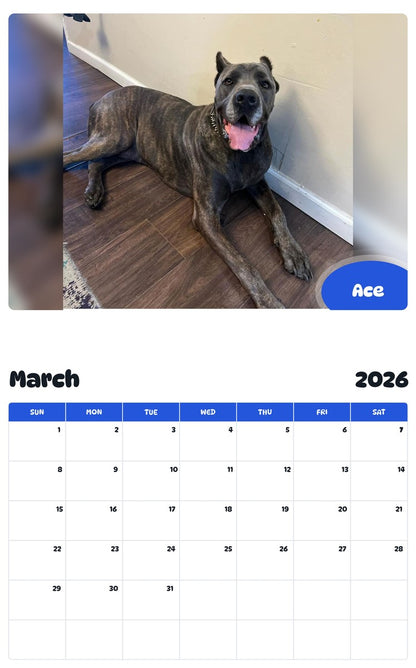 November 2025 - October 2026 Ace - Pawidols Pet Calendar