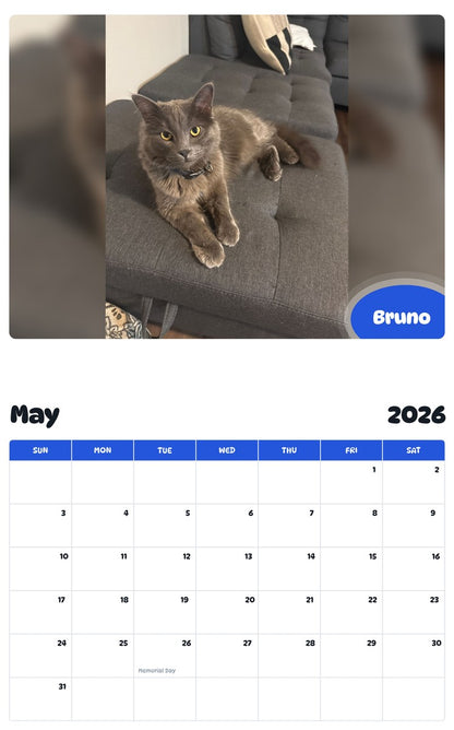 2026 - 2027 Bruno - Pawidols Pet Calendar