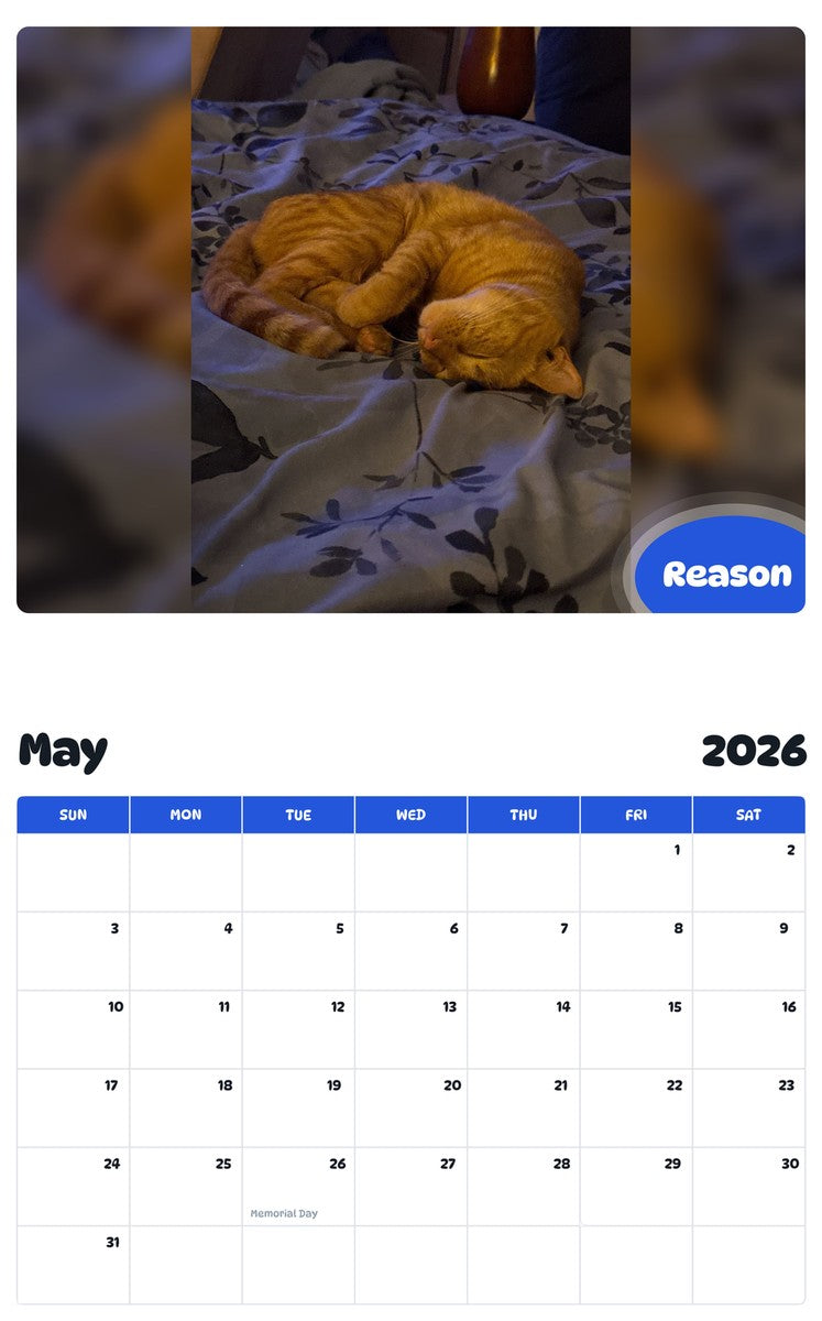 2026 - 2027 Reason - Pawidols Pet Calendar