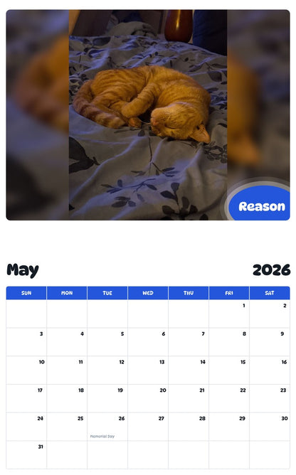 2026 - 2027 Reason - Pawidols Pet Calendar