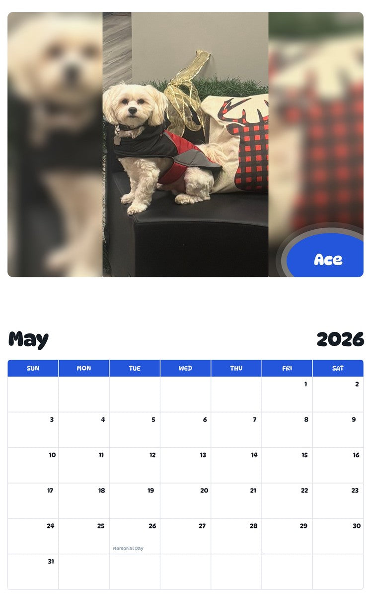 2026 - 2027 Ace - Pawidols Pet Calendar