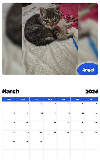 November 2025 - October 2026 Angel - Pawidols Pet Calendar