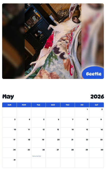 2026 - 2027 Beetle - Pawidols Pet Calendar