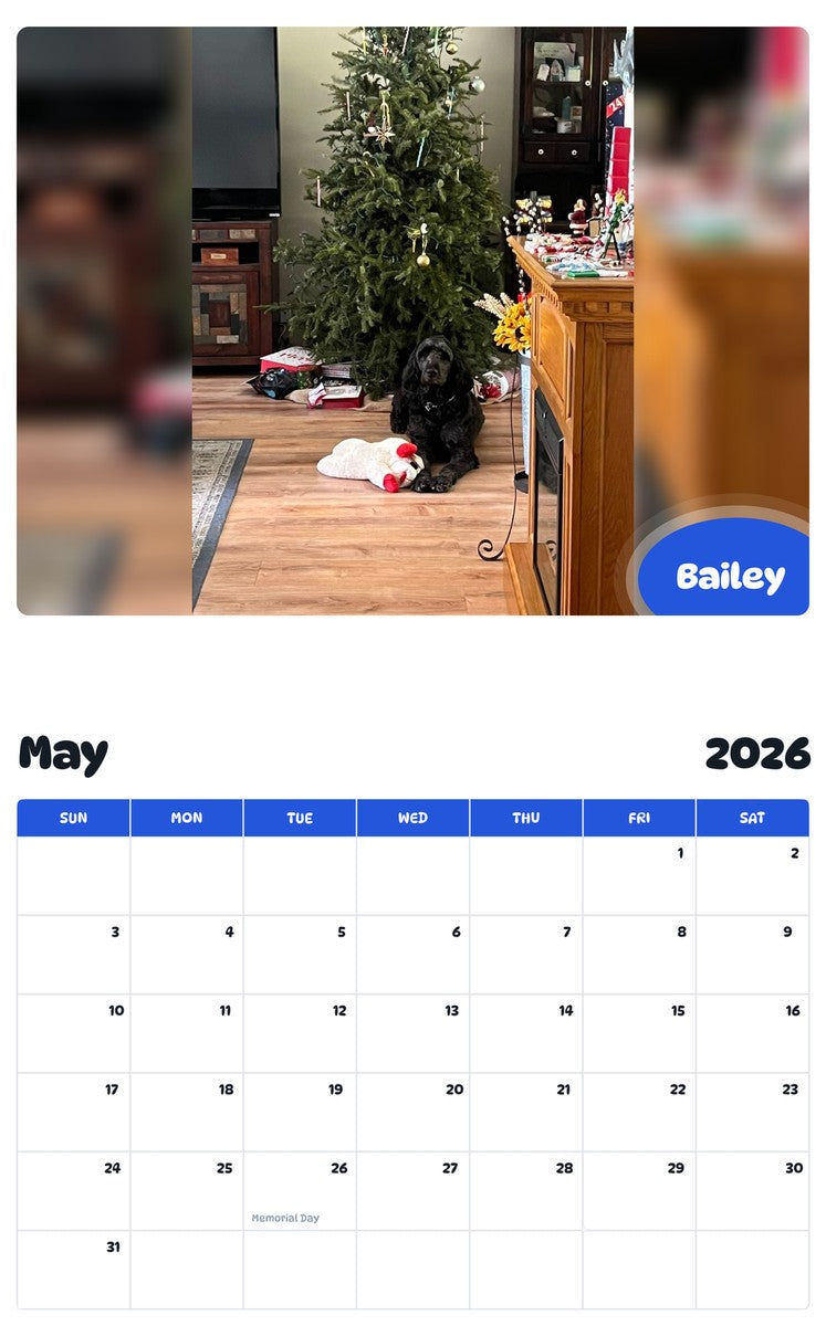 2026 - 2027 Bailey - Pawidols Pet Calendar
