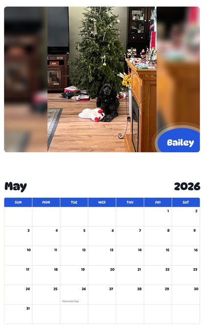 2026 - 2027 Bailey - Pawidols Pet Calendar