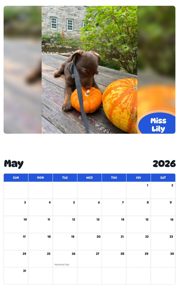 2026 - 2027 Miss Lily - Pawidols Pet Calendar