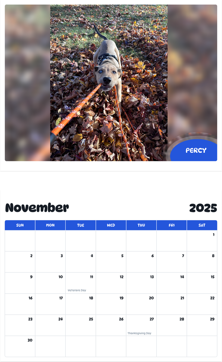 July 2025 - June 2026 Percy - Pawidols Pet Calendar