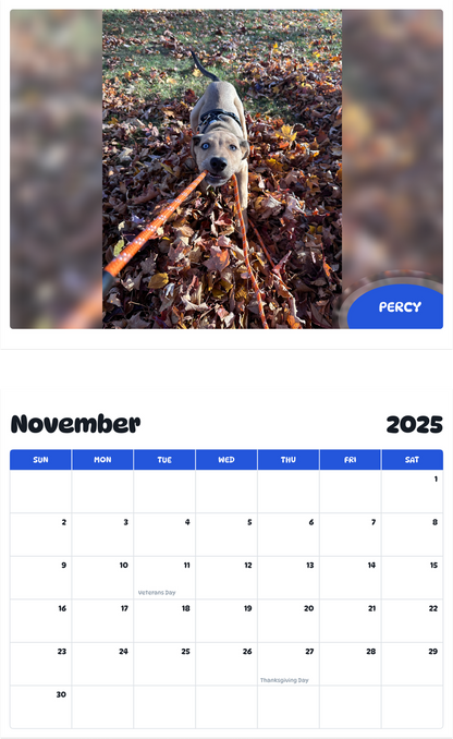 July 2025 - June 2026 Percy - Pawidols Pet Calendar