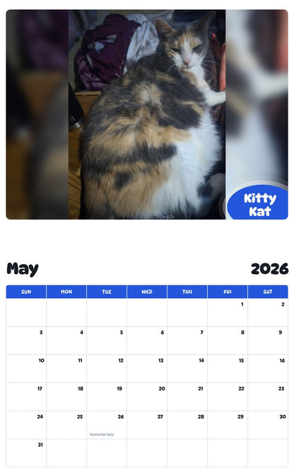 2026 - 2027 Kitty Kat - Pawidols Pet Calendar