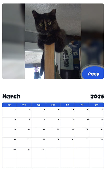 November 2025 - October 2026 Peep - Pawidols Pet Calendar