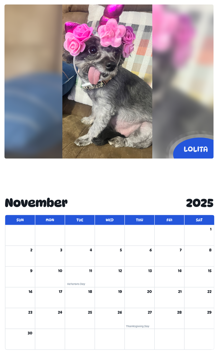 July 2025 - June 2026 Lolita - Pawidols Pet Calendar