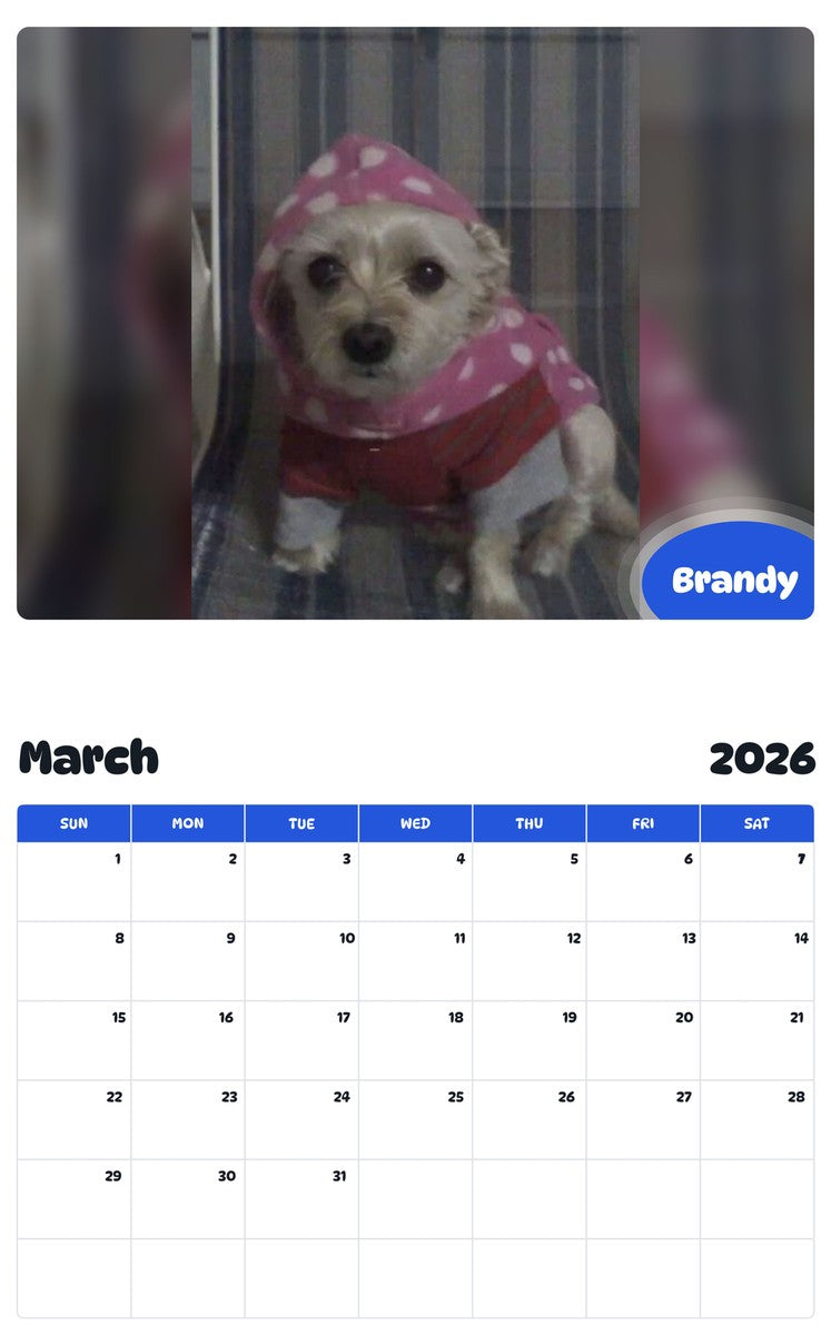 November 2025 - October 2026 Brandy - Pawidols Pet Calendar