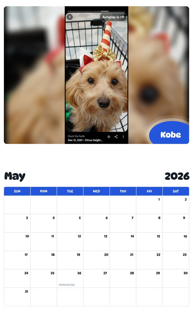 2026 - 2027 Kobe - Pawidols Pet Calendar
