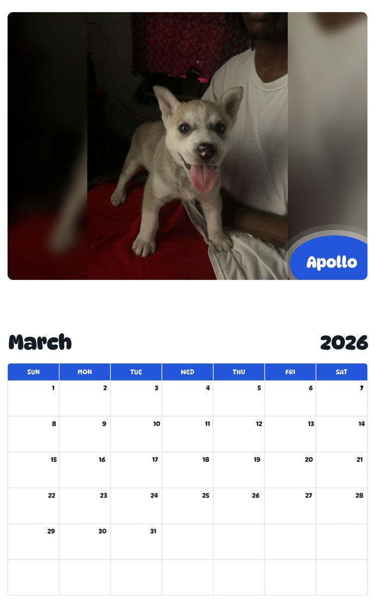 November 2025 - October 2026 Apollo - Pawidols Pet Calendar