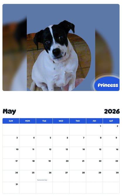 2026 - 2027 Princess - Pawidols Pet Calendar