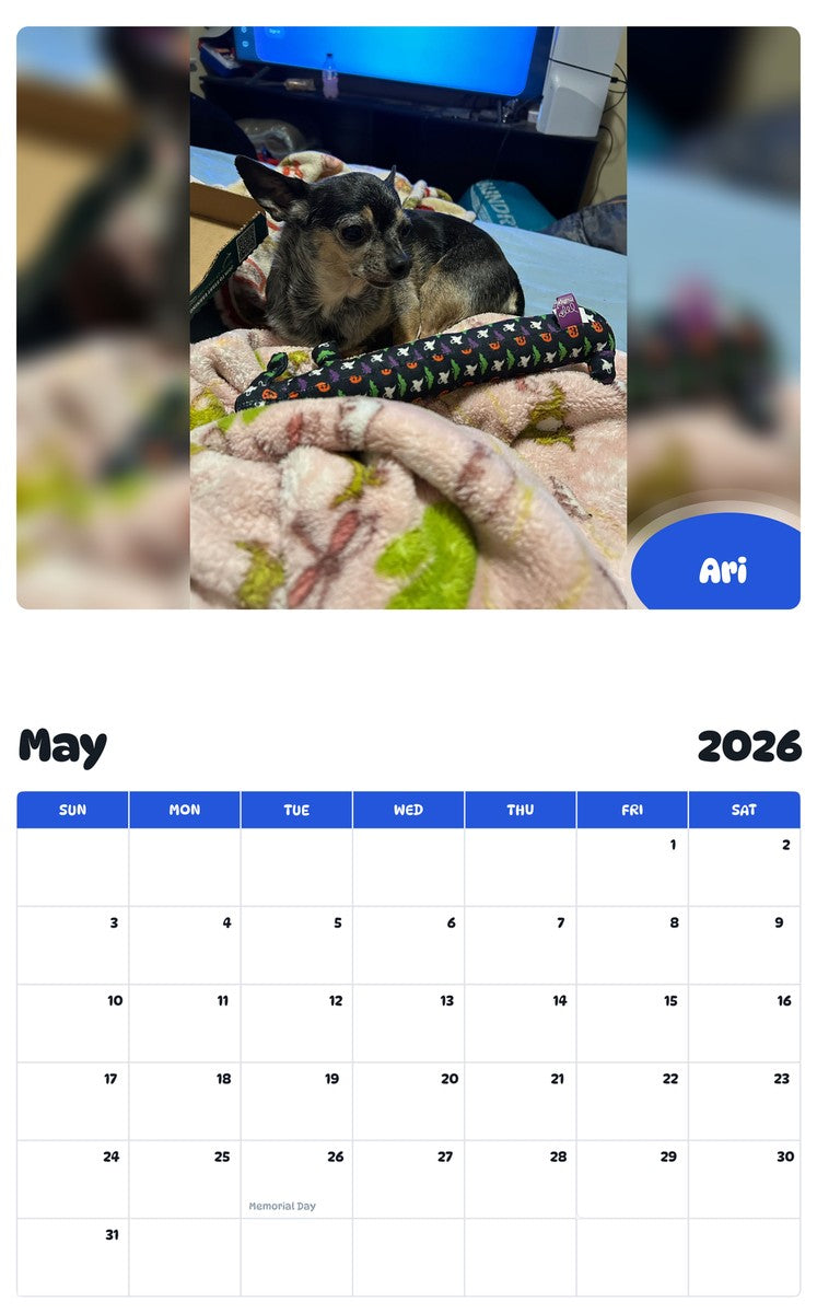 2026 - 2027 Ari - Pawidols Pet Calendar