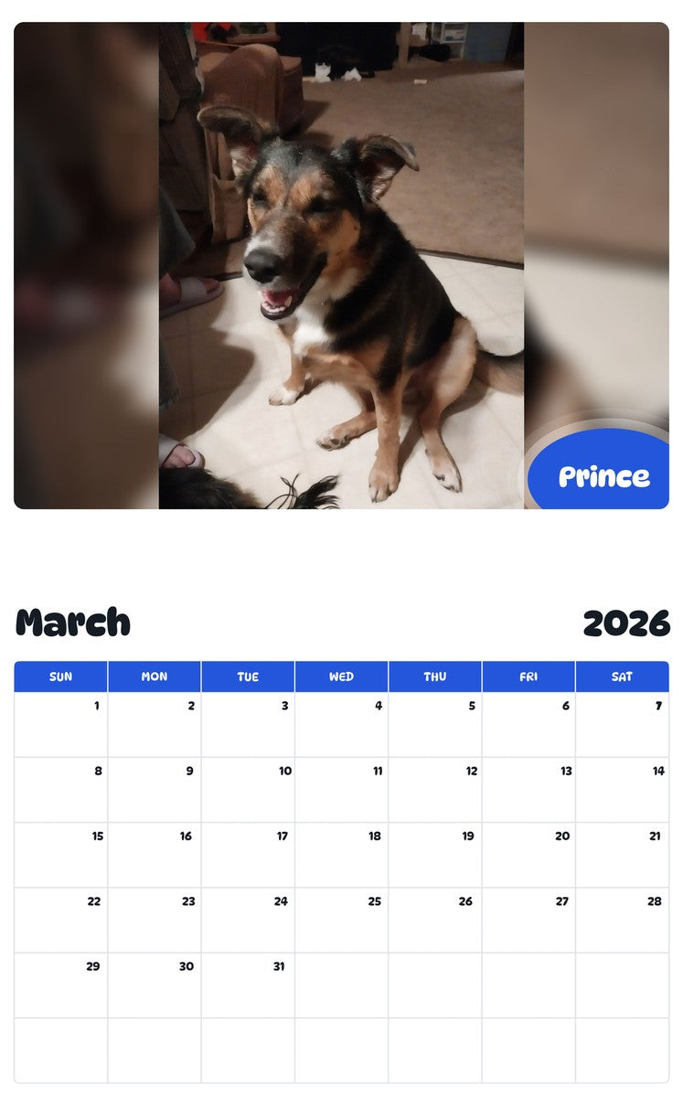 November 2025 - October 2026 Prince - Pawidols Pet Calendar