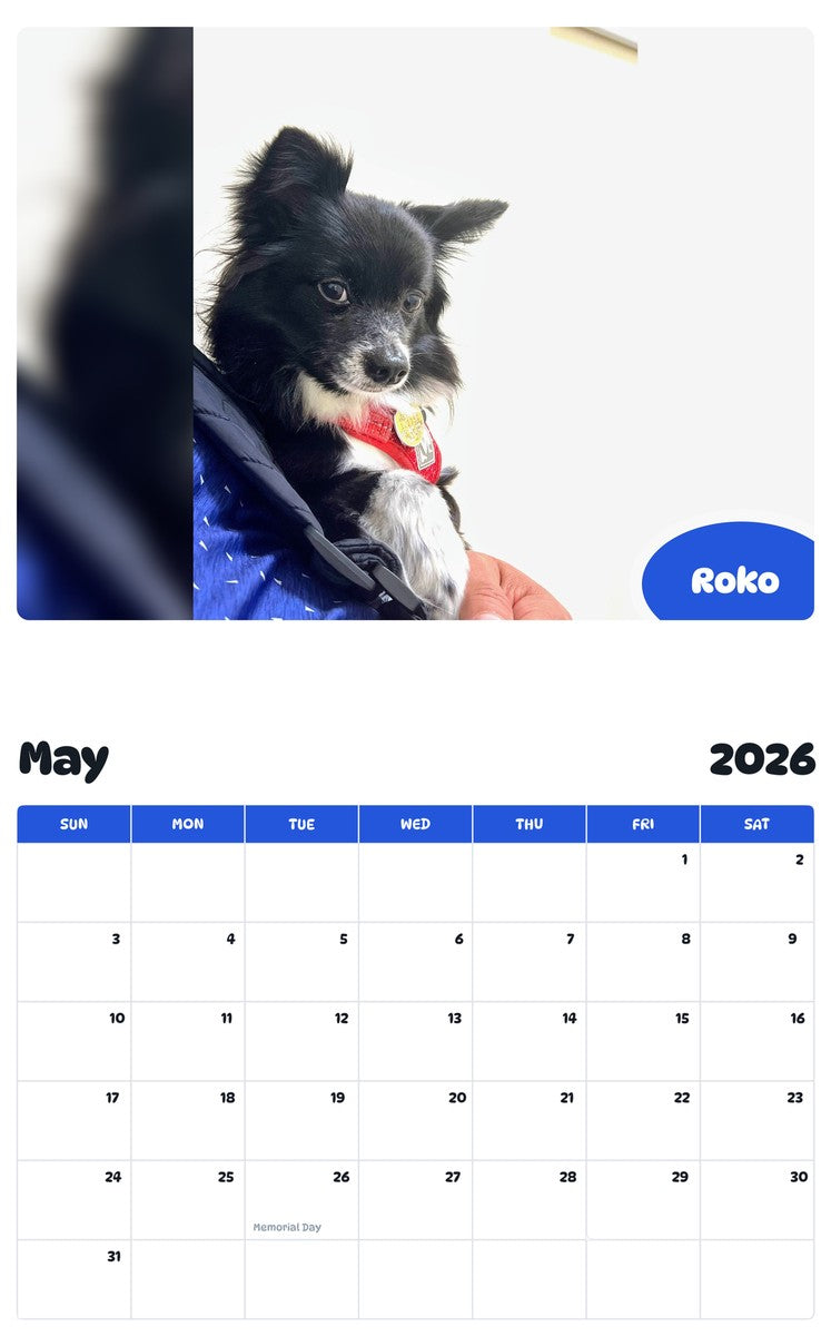 2026 - 2027 Roko - Pawidols Pet Calendar