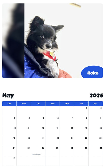 2026 - 2027 Roko - Pawidols Pet Calendar