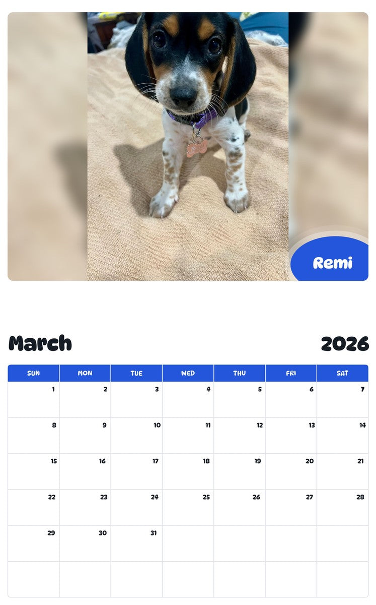 November 2025 - October 2026 Remi - Pawidols Pet Calendar