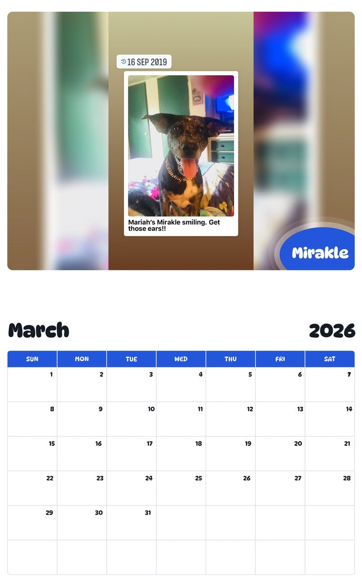 November 2025 - October 2026 Mirakle - Pawidols Pet Calendar