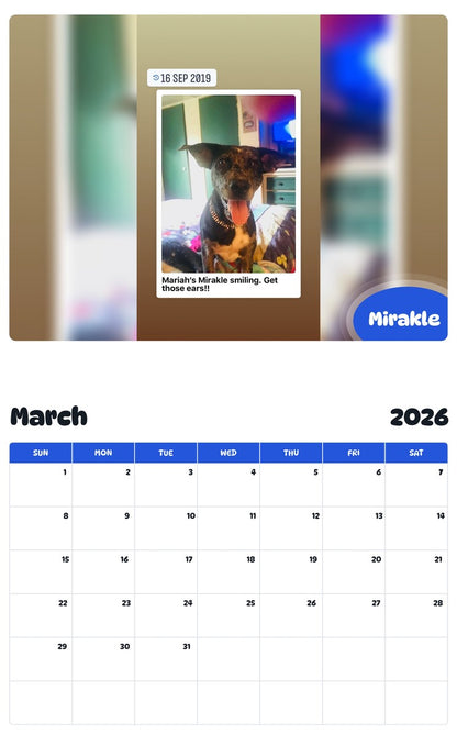 November 2025 - October 2026 Mirakle - Pawidols Pet Calendar