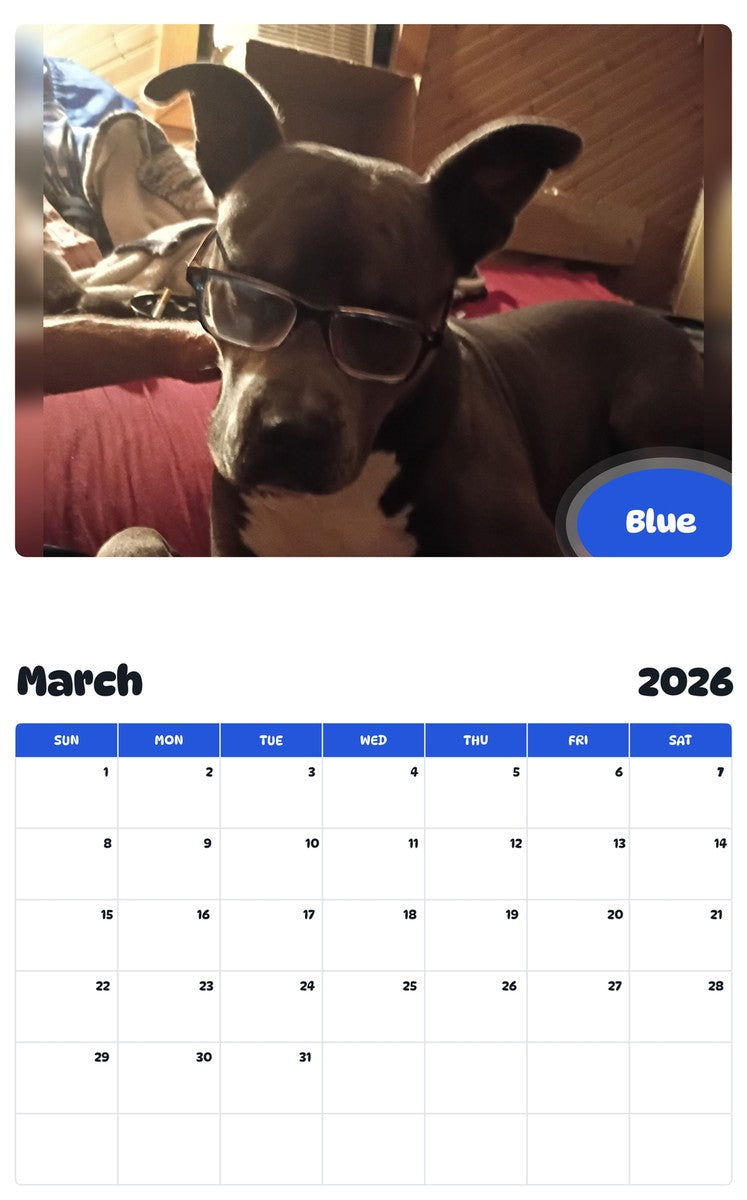 November 2025 - October 2026 Blue - Pawidols Pet Calendar