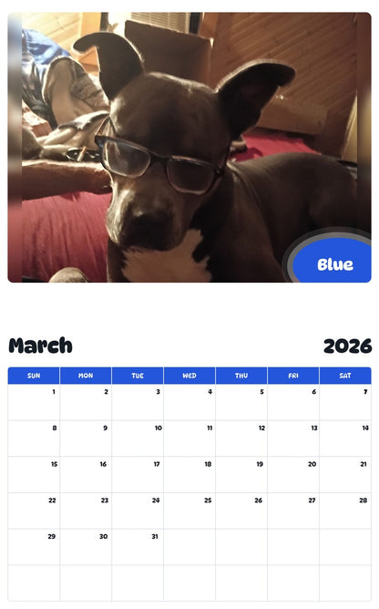 November 2025 - October 2026 Blue - Pawidols Pet Calendar