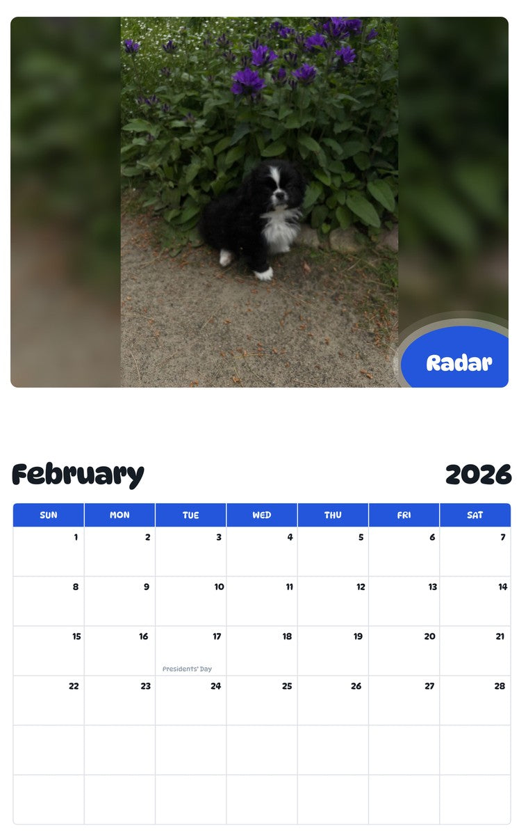 October 2025 - September 2026 Radar - Pawidols Pet Calendar